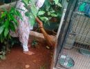 whatsapp image 2024 09 30 at 14.48.50ad8
