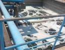 whatsappimage2025 04 25at15.39.25dd5c9b9